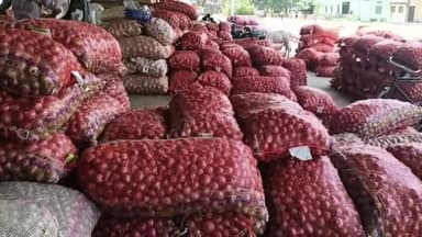 शाजापुर: शाजापुर की कृषि उपज मंडी में 13532 क्विंटल प्याज की हुई आवक, ₹200 से लेकर ₹1251 प्रति क्विंटल तक रहे भाव