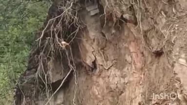 कंडाघाट: वाकनाघाट सुबाथू रोड़ पर जगह-जगह पहाड़ी से मलबा गिरने से सड़क हो रही बाधित, कंडाघाट में PWD विभाग हुआ अलर्ट