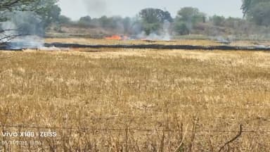 बटियागढ़: फतेहपुर: प्रतिबंध के बावजूद नरवाई में आग के मामले नहीं थम रहे, नरवाई जलाते वीडियो आया सामने