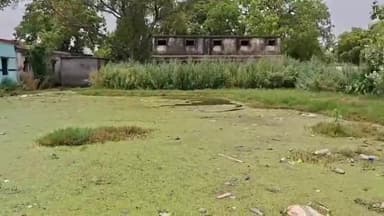 मधुबन: तिघरा स्थित प्राथमिक विद्यालय के पास जमा हो रहा गांव के नाले का गंदा पानी, स्कूली बच्चों के ऊपर स्वास्थ्य का बना खतरा#ja