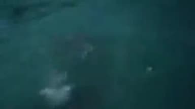 अम्बाला: अंबाला कैंट में SYL नहर इस्माइलापुर में डूबा किशोर, हुई मौत, दसवीं पास कर चुका था