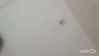 बरेली: सिरौली थाना क्षेत्र के मोहल्ला प्यास में पति ने पत्नी को दिया तीन तलाक, वीडियो सामने आया, मुकदमा दर्ज