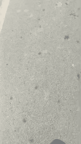 Patna meethapur Bihar 
Begusarai ka nivasi naam Kalo Devi