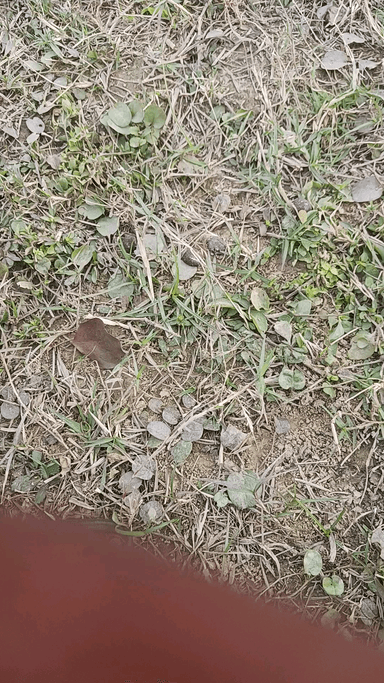 यह लड़का के सर आप लोग बचा लीजिए नहीं तो यह सुसाइड कर लेगा प्लीज सोशल मीडिया