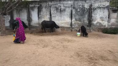 धूल, पसीना और जीत का जज्बा: जब रेगिस्तान के सन्नाटे में गूँजी क्रिकेट के बल्ले की गूँज।