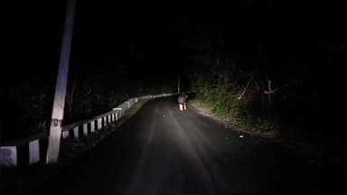 கல்வராயன் மலை: கள்ளக்குறிச்சி - வெள்ளிமலை சாலையில் நடந்து சென்ற காட்டெருமை - வாகன ஒட்டிகள் பாதுகாப்பாக செல்ல வனத்துறை அறிவுறுத்தல்