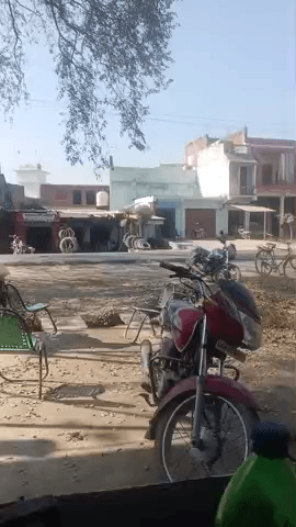 samodia adde per tectar barksaap haivsaara saman uchit reto per milta hai sampark kare 9718636847