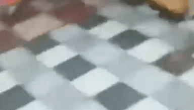 पेण: पेणच्या वाशी नाक्यावर सिलेंडरने भरलेल्या टाटा मॅजिकला आग; एकामागोमाग आठ सिलेंडरचा स्फोट