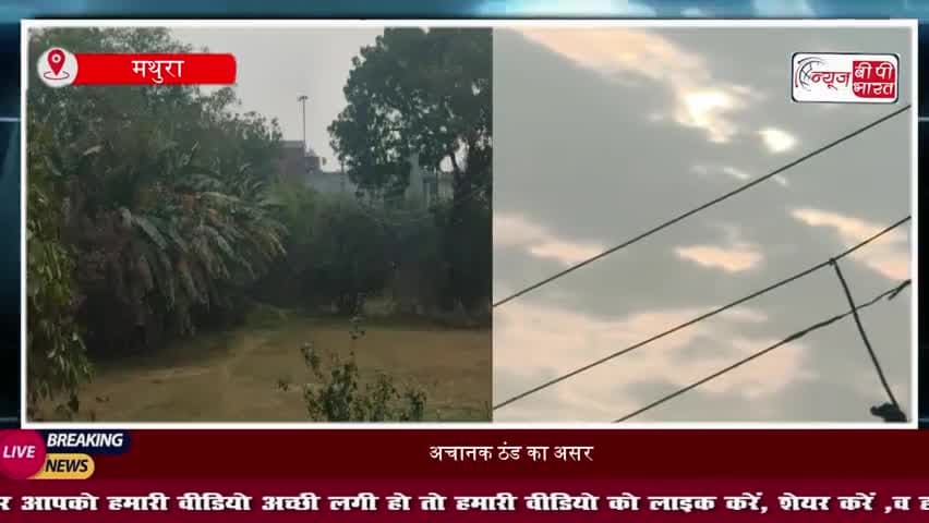 मथुरा में बसंत पंचमी पर मौसम ने बदला मिज़ाज, तेज ठंडी हवाओं और बूंदाबांदी से बढ़ी ठिठुरन 
#MathuraWeather