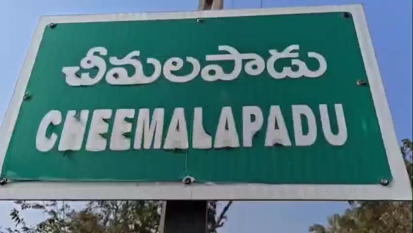 మాడుగుల: మాడుగుల మంటలంలో రహదారి సౌకర్యం కల్పించాలని డిమాండ్ చేస్తూ గుర్రాలతో నిరసన చేపట్టిన ఆదివాసి గిరిజనులు