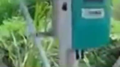 दारव्हा: खडका शेतशिवारातील सोलर प्लांटमधील 1.84 लाखांचा मुद्देमाल चोरी