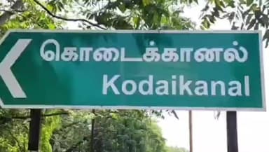 கொடைக்கானல்: மன்னவனூர் வனப்பகுதியில் மரம் வெட்டி கடத்தப்பட்டதில் சஸ்பெண்ட் செய்யப்பட்ட வனவர் விசாரணையின் போது தப்பி ஓட்டம்