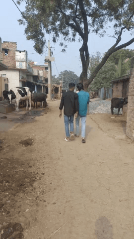 tabahi #kalb@@ pianiya ##
ahir toli 
@#@@