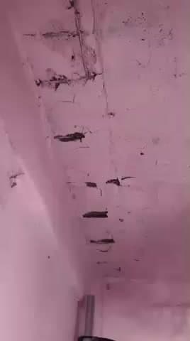 ग्राम तलावली  ग्राम पंचायत डुमाहेडा 
तलावली के 1 से 5 वी तक के इस्कुल की ये हालत है कोई भी मंत्री सरपँच अधिकारी l.......