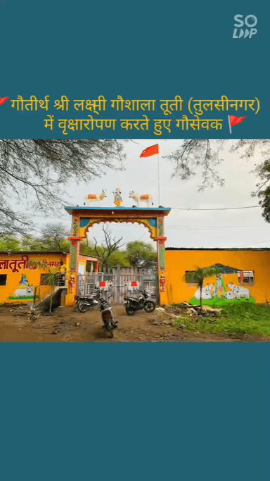 श्री लक्ष्मी गौशाला में प्रतिदिन गौ माता को 200 किलो दाना खिलाया जाता है