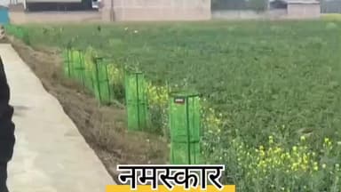 kaushambi   सिराथू तहसील  कमासिन चौराहा ब्रिज  सर्विस रोड कौशांबी पर  #हाईलाइट# h