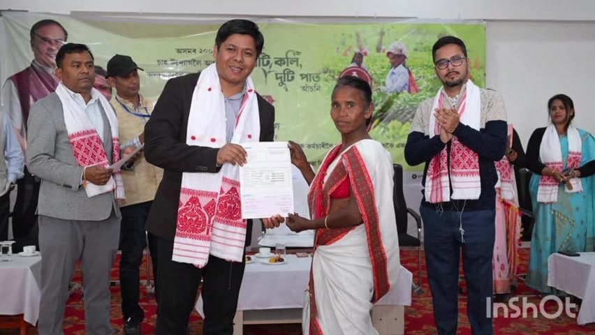 নাহৰকটীয়া: নাহৰকটীয়া হাপজান চাহ বাগিচাত এটি কলি দুটি পাত আঁচনি শুভাৰম্ভ কৰিলে বিধায়ক তৰংগ গগৈয়ে