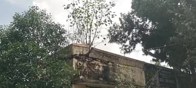 கீழ்பென்னாத்தூர்: சாணி பூண்டி கிராமத்தில் ஊராட்சி மன்ற கட்டிடத்தில் மரங்கள் வளர்ந்து இடிந்து விழும் நிலையில் உள்ளதால் புதிய கட்டிடம் கட்ட அப்பகுதி மக்கள் கோரிக்கை