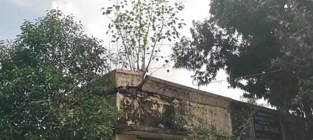 கீழ்பென்னாத்தூர்: சாணி பூண்டி கிராமத்தில் ஊராட்சி மன்ற கட்டிடத்தில் மரங்கள் வளர்ந்து இடிந்து விழும் நிலையில் உள்ளதால் புதிய கட்டிடம் கட்ட அப்பகுதி மக்கள் கோரிக்கை