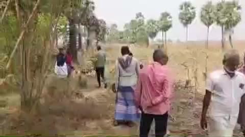 திட்டக்குடி: திட்டக்குடியில் பெண்ணின் கழுத்தில் இருந்த 6 சவரன் தாலி சங்கிலி திருட்டு போலீசார் விசாரணை