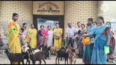 নন্দকুমার: স্বনির্ভরতার লক্ষ্যে নন্দকুমারে SHG গ্রুপের মহিলাদের হাতে ছাগল তুলে দিল ব্লক প্রাণী সম্পদ বিকাশ বিভাগ,উপস্থিত সভাপতি