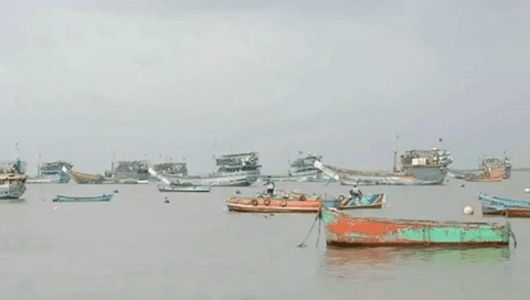 उरण: अरबी समुद्रात मासेमारीसाठी गेलेल्या बोटी रिकाम्याच परतल्या