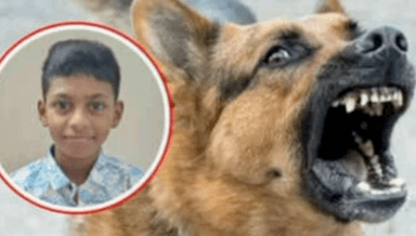 कर्जत: रस्त्यावरुन जाताना पिसाळलेल्या कुत्र्यांचा हल्ला, कर्जतमध्ये 9 वर्षांचा ऋषिकेशचा दुर्दैवी मृत्यू