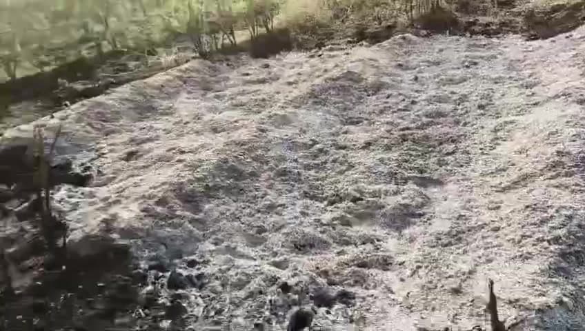 धामणगाव रेल्वे: चिचपूर येथे शेतकऱ्याच्या तुरीच्या ५ गंजी जाळल्या; अज्ञात आरोपीविरोधात संताप, आंदोलनाचा इशारा