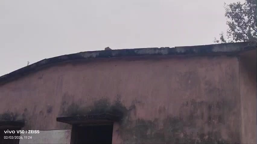 आंगनबाड़ी केंद्र बसंतपुर अहमदपुर हारना 
कोड 97 बाड संखिया 9 में 
आंगनबाड़ी पर धान पसराता है
और