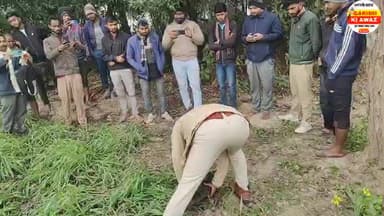 मोर की मौत से गांव में हड़कंप, वन विभाग को सूचना