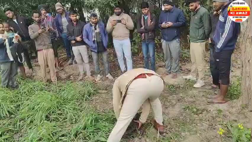 मोर की मौत से गांव में हड़कंप, वन विभाग को सूचना