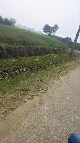chhoti Baliya janipur ke niche photo aur bike ka  accident Ho Gaya photo wala saidpur ka hai bike wala ka abhi pata nah