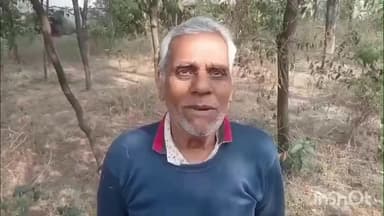 માલપુર: ઉભરાણ ગામના બે ખેતરમાં વાવેલા ચંદનના ઝાડની તસ્કરી:ખેડૂત
