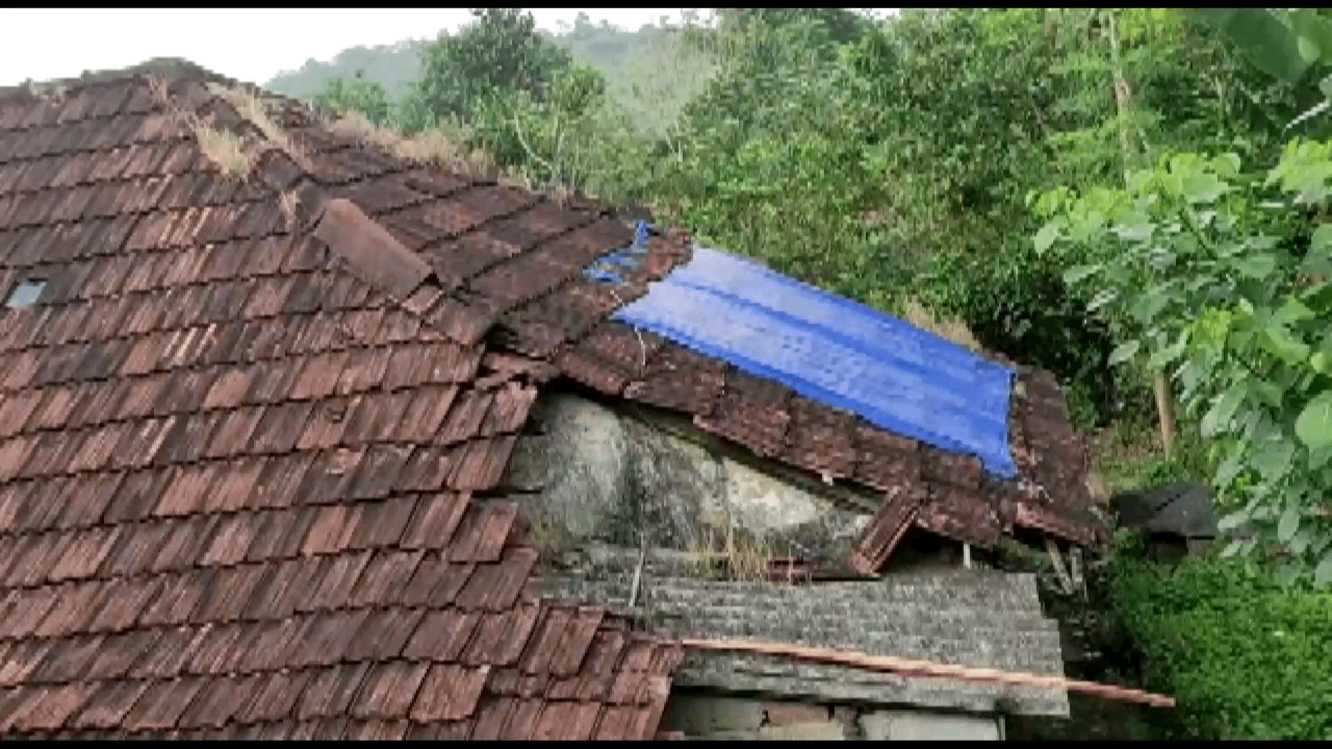 പീരുമേട്: സംസ്ഥാന ബജറ്റിൽ സർക്കാർ തോട്ടം മേഖലയെ പാടെ അവഗണിച്ചെന്ന് പ്ലാൻ്റേഷൻ വർക്കേഴ്സ് യൂണിയൻ ഐഎൻടിയുസി നേതൃത്വം