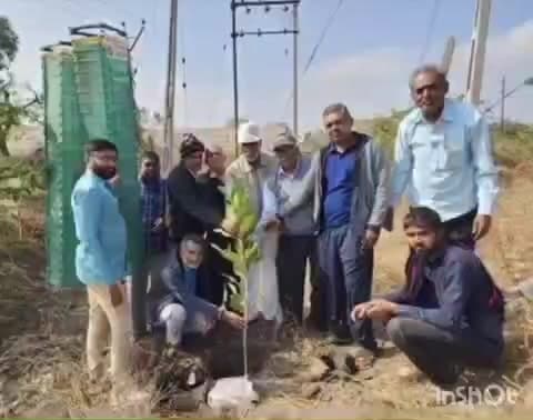 ચુડા: ચુડા ગામ ફરતે 2000 વૃક્ષો નુ વાવેતર કરાશે. એક વૃક્ષ પાછળ અંદાજે રૂ. 3000 જેટલો ખર્ચ થશે
