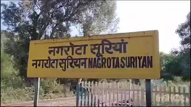 नगरोटा सूरियां: पौंग झील मत्स्य सहकारी सभाओं के सभी 15 मत्स्य केदो की खुली नीलामी 9 से 19 फरवरी तक आयोजित होगी
