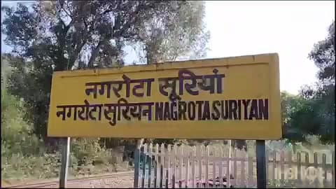 नगरोटा सूरियां: पौंग झील मत्स्य सहकारी सभाओं के सभी 15 मत्स्य केदो की खुली नीलामी 9 से 19 फरवरी तक आयोजित होगी
