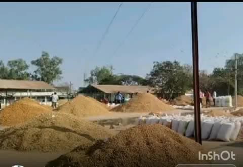 అచ్చంపేట: అచ్చంపేట వ్యవసాయ మార్కెట్లో వేరుశనగకు భారీగా పలికిన ధర