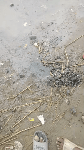 hkalpi panchayat bibiganj Dhubri tola Bibiganj