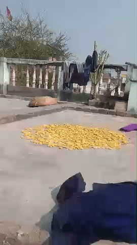 is is Balak ka namuna dekar ab Chog jaiega aur Dekhte Rah jaiega Dekhte Hue Sabhi log Aaram Ho Jaenge Kyunki yah Balak b