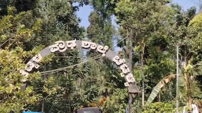 ಕುಶಾಲನಗರ: ಚೆಟ್ಟಳಿ ಸರ್ಕಾರಿ ಶಾಲೆಯ ಬಾಸ್ಕೆಟ್ ಬಾಲ್ ಗ್ರೌಂಡ್ ನಲ್ಲಿ ಕಾಫಿ ಒಣಗಿಸಿದ ಘಟನೆ ನಡೆದಿದೆ