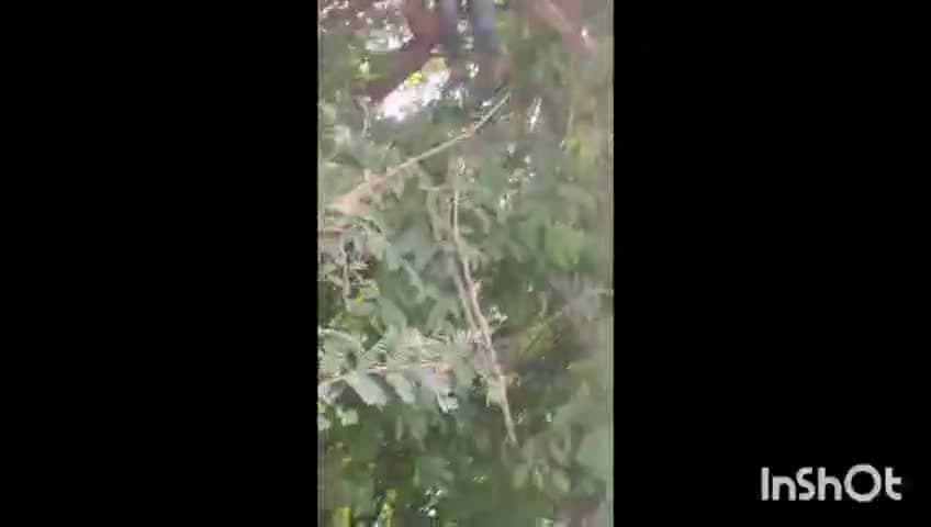 पाथ्री: शक्तिपीठ महामार्ग भूसंपादनावरून मोरवडमध्ये तणाव,शेतकऱ्याचा टोकाचा प्रयत्न,झाडावर चढून गळफास घेण्याचा केला प्रयत्न
