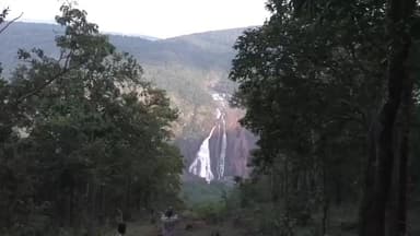 ଯଶିପୁର: ଶିମିଳିପାଳ ଅଭୟାରଣ୍ୟର ମଧ୍ୟରେ ସର୍ବନିମ୍ନ ୪ ଡିଗ୍ରୀ ସେଲସିୟସ୍ ତାପମାତ୍ରା ନେଇ ସୂଚନା ଦେଲେ RCCF