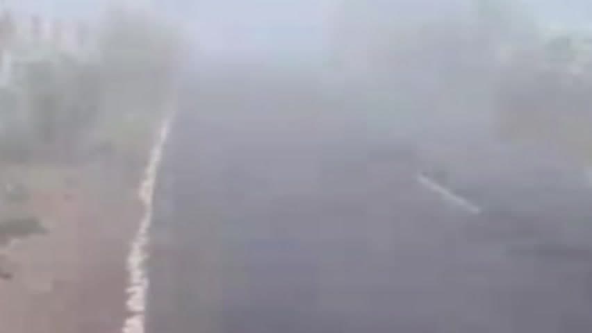 ટંકારા: ટંકારામાં ગાઢ ધુમ્મસ છવાયેલું
