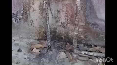मेसकौर: बूंद-बूंद पानी को तरस रहा मेसकौर थाना, जलापूर्ति ठप से पुलिसकर्मी बेहाल । #jansmasya