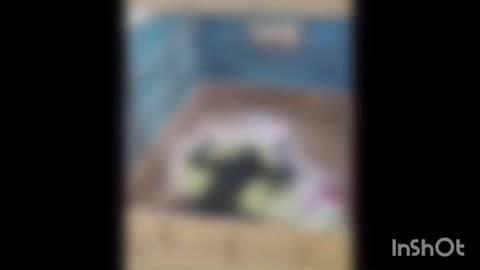 आर्वी: पैशांच्या वादातून तरुणाची पेट्रोल टाकून हत्या; आर्वीत तणावाचे वातावरण