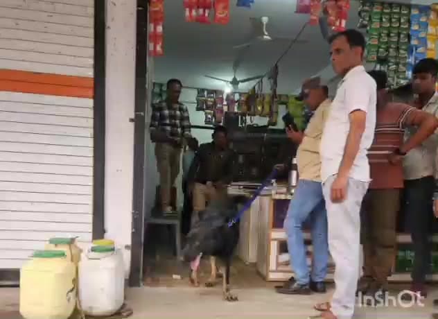 मेघनगर: झकनावदा में बदमाशों ने चोरी की वारदात को अंजाम दिया, मौके पर पहुंची डॉग स्क्वॉड