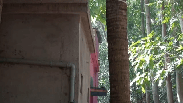 চাকদা: রোগ যন্ত্রনা সহ্য করতে না পেরে সরাপপুর গ্রামে গলায় ফাঁস দিয়ে আত্মঘাতী এক ব্যক্তি
