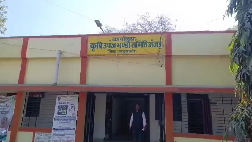 ठीकरी: भारतीय कपास निगम लिमिटेड द्वारा अंजड़ कृषि उपज मंडी में 27 फरवरी तक होगी कपास की खरीदी