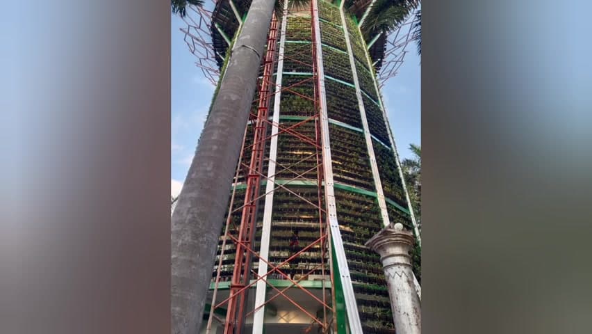 மயிலாப்பூர்: கலைஞர் நூற்றாண்டு பூங்காவில் லிப்ட் பழுதானதால் 20 அடி உயரத்தில் இருந்து கீழே விழுந்த தொழிலாளர்கள் -  படுகாயத்துடன் மருத்துவமனையில் அனுமதி
